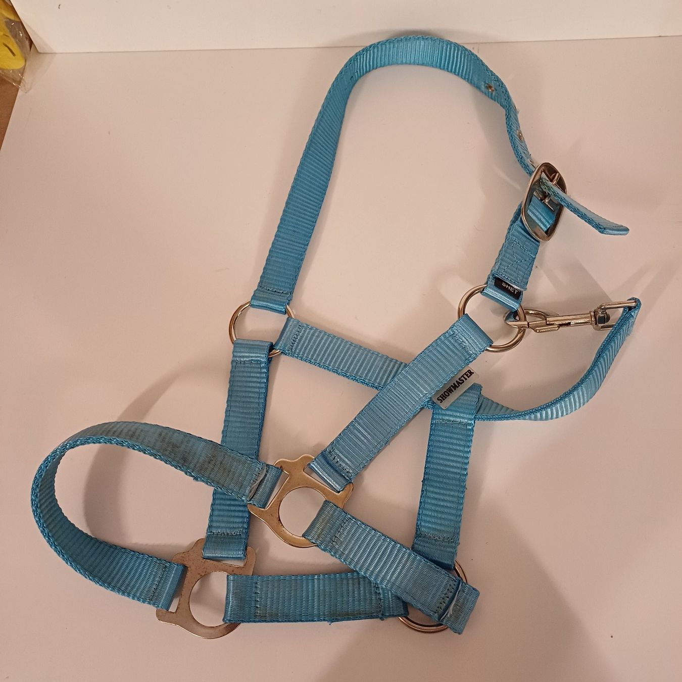 Briglie & Cavezze: Licol bleu taille shetty – Usato da Villeneuve VD venduto da vog_yc5s 1