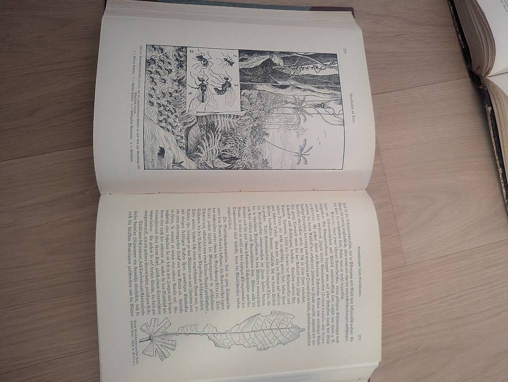 Libri: Bücher Antik 5 Stück – Usato da Uetikon am See venduto da kil_zky5 4