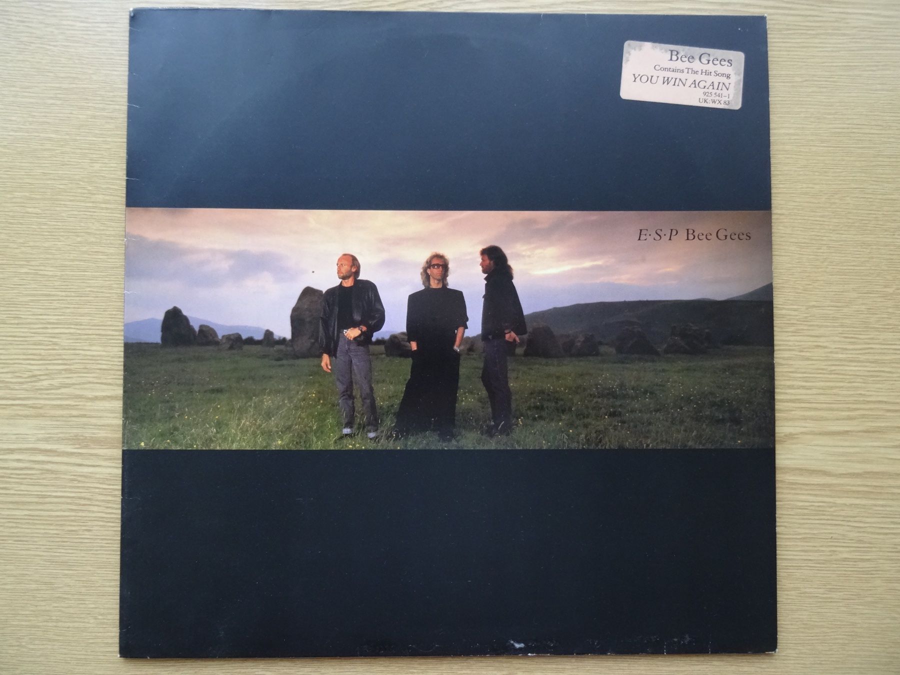 Dischi in vinile: Bee Gees: ESP Vinyl LP (1987) – Usato da Zürich venduto da burdan
