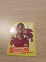 Panini WM 2026 QAT 11