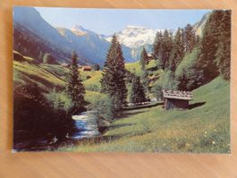 Adelboden, am Engstligenbach - Steghorn, Wildstrubel