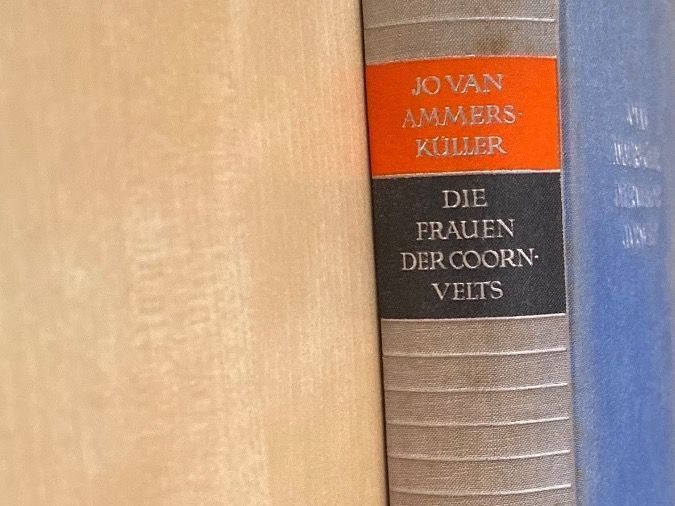 Libri: Buch: Die Frauen der Coornvelts – Usato da Ebmatingen venduto da 777_cq5g 1