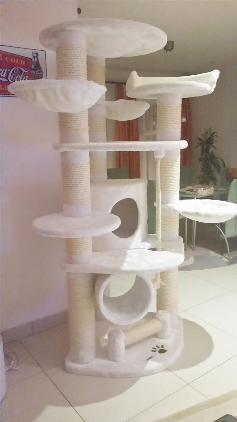 Tiragraffi: KATZENBAUM Noblesse, weiss – Nuovo e nell'imballaggio originale da Eschenbach LU venduto da PETHOMES_AG 7