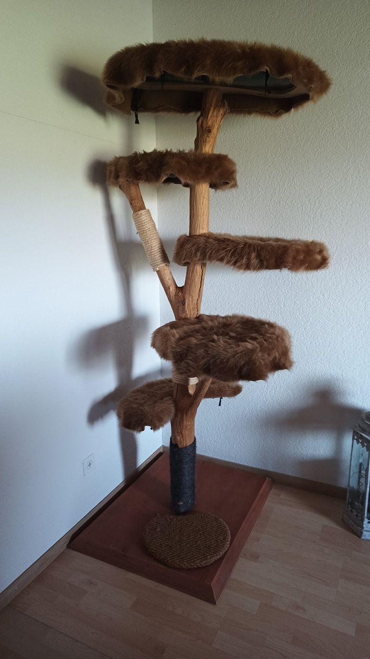 Tiragraffi: Katzenbaum – Usato da Hallwil venduto da miichii_91