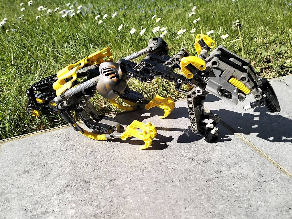 Kit di costruzioni: Lego Technics Bionicle 8538 Muaka e Kane Ra – Usato da Locarno venduto da gab_22kt 2