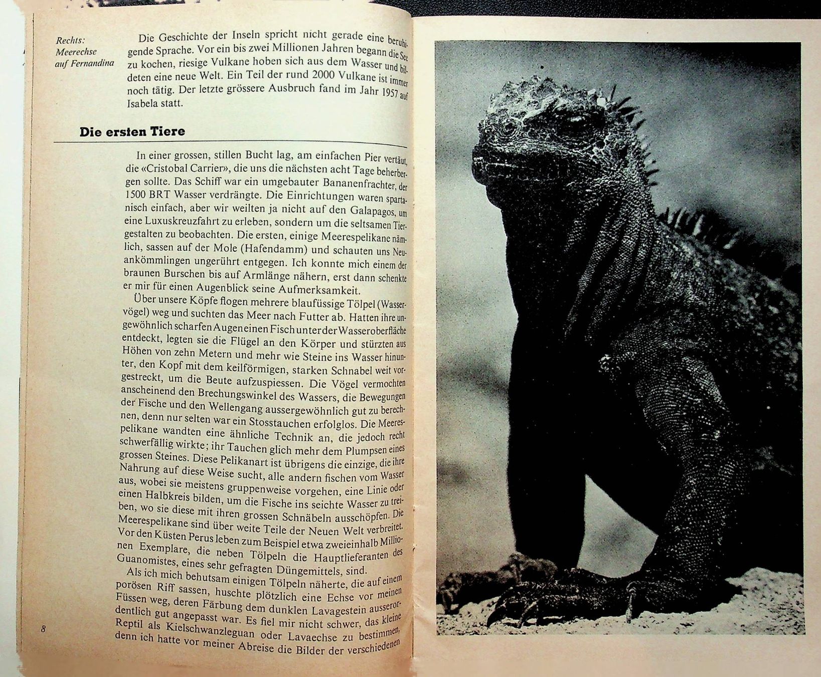 Libri: SJW 1219 Willi Dolder  Galapagos  EA 1973 – Usato da Reitnau venduto da Zaomir 4