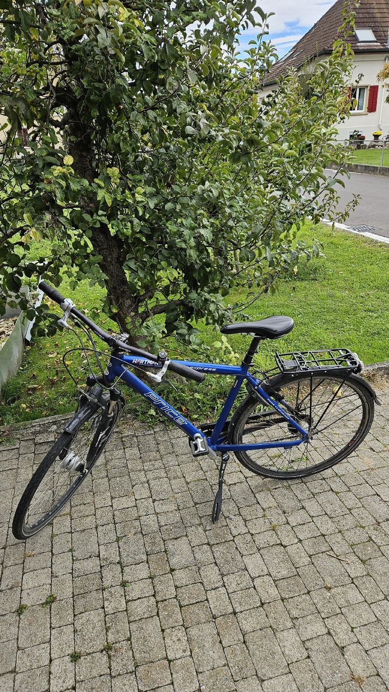 Price Biciclette: Herrenvelo Marke Price – Usato da Staufen venduto da nil_k8sl 1