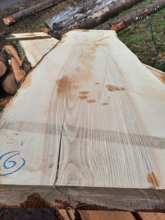 Articoli in legno: Klotzbrett Esche sehr dick – Nuovo (secondo la descrizione) da Heiligenschwendi venduto da kiplimo 1