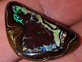 Seltene natürliche Opal Nuss aus Yowah, Australien
