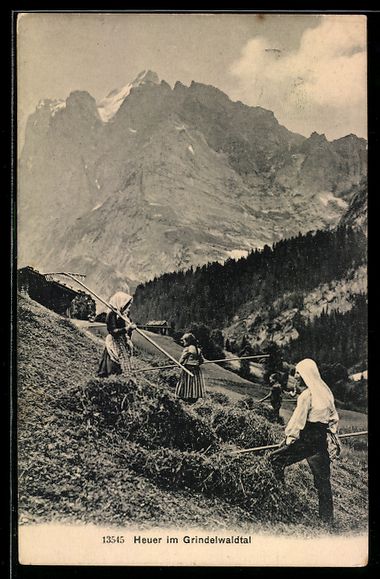 Cartoline postali: AK Grindelwald, Heuer im Grindelwaldtal – Usato da Berlin venduto da bartko-reher