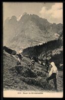 AK Grindelwald, Heuer im Grindelwaldtal