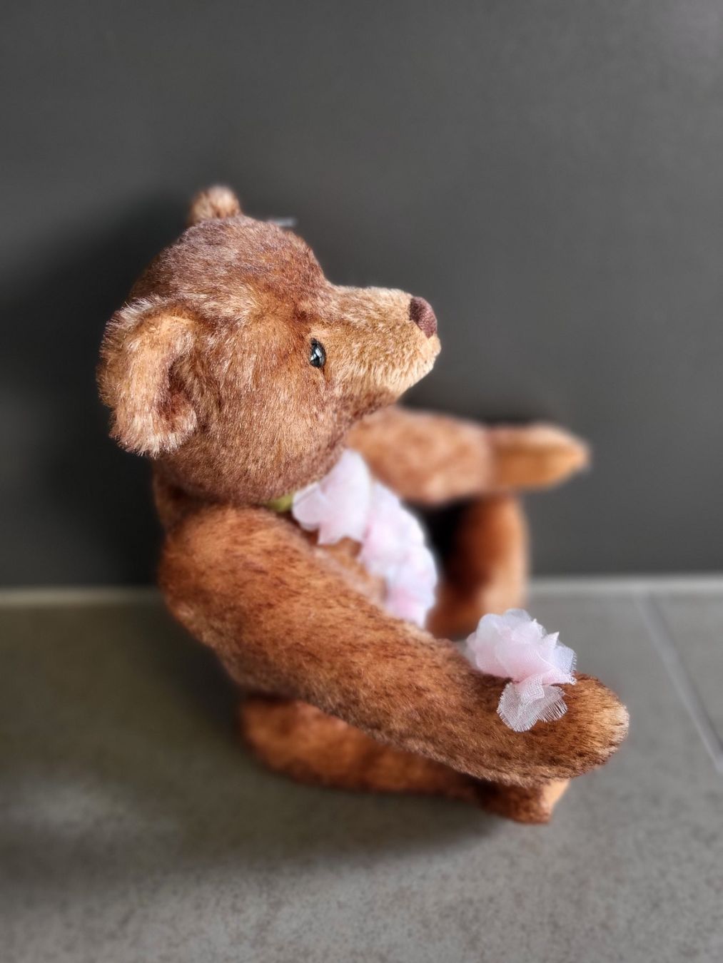 Steiff Spielzeuge: Steiff Teddy – Neu (gemäss Beschreibung) aus Zürich von Orchidee 3