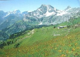 BRAUNWALD Blick vom Gumen gegen Tödi-Ortstock und Hoher Turm