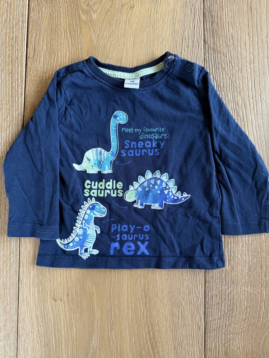 Maglioni & Felpe: Sweatshirt Dino Grösse 68 (74) – Usato da Pragg-Jenaz venduto da gobrist