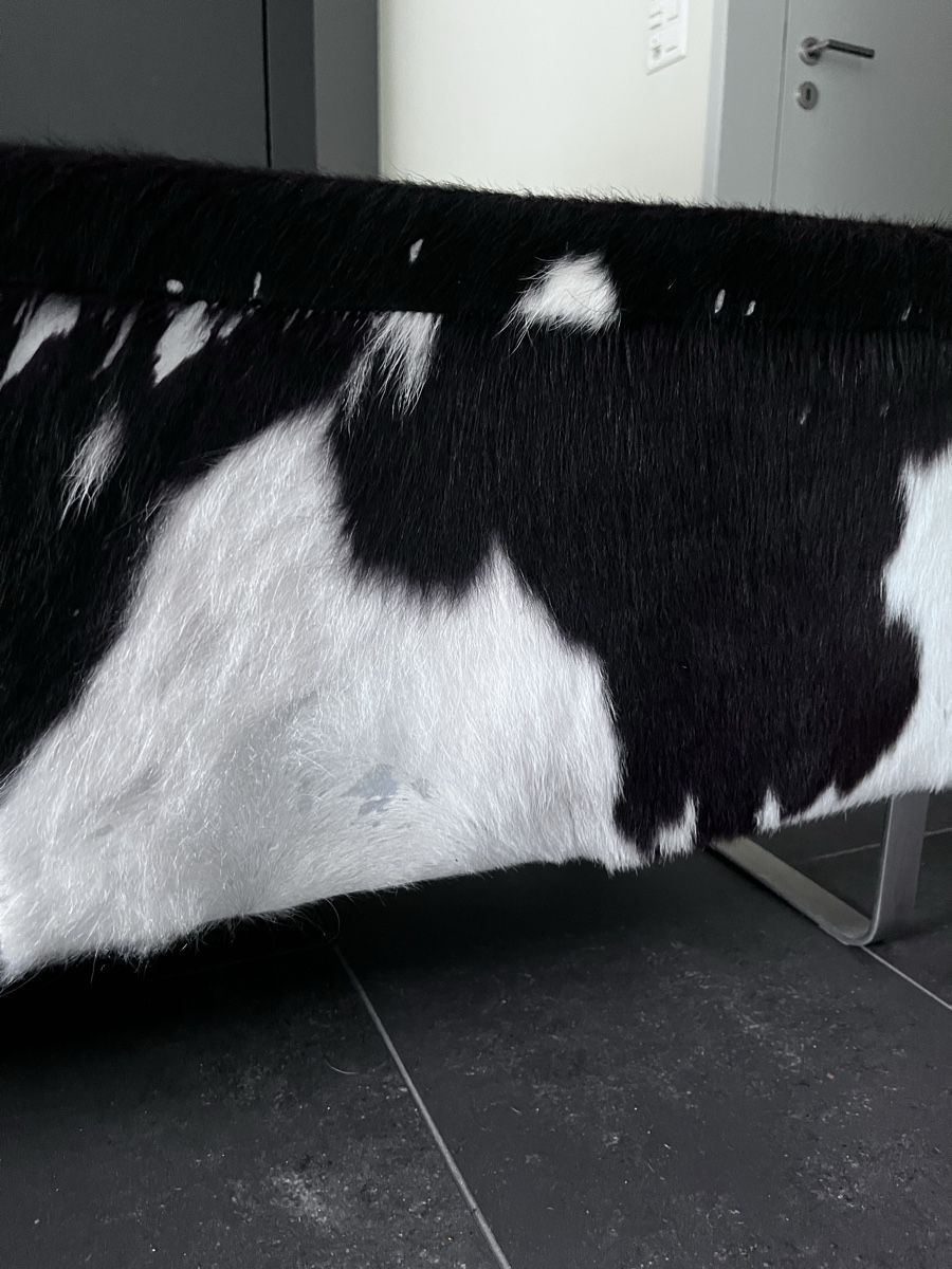 Panchine: Kuhfell Sitzbank – Usato da Gossau SG venduto da viv_6cy2 5