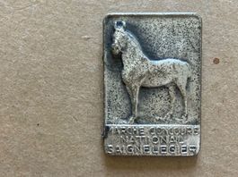 Marche Concours National Saignelégier Cheval
