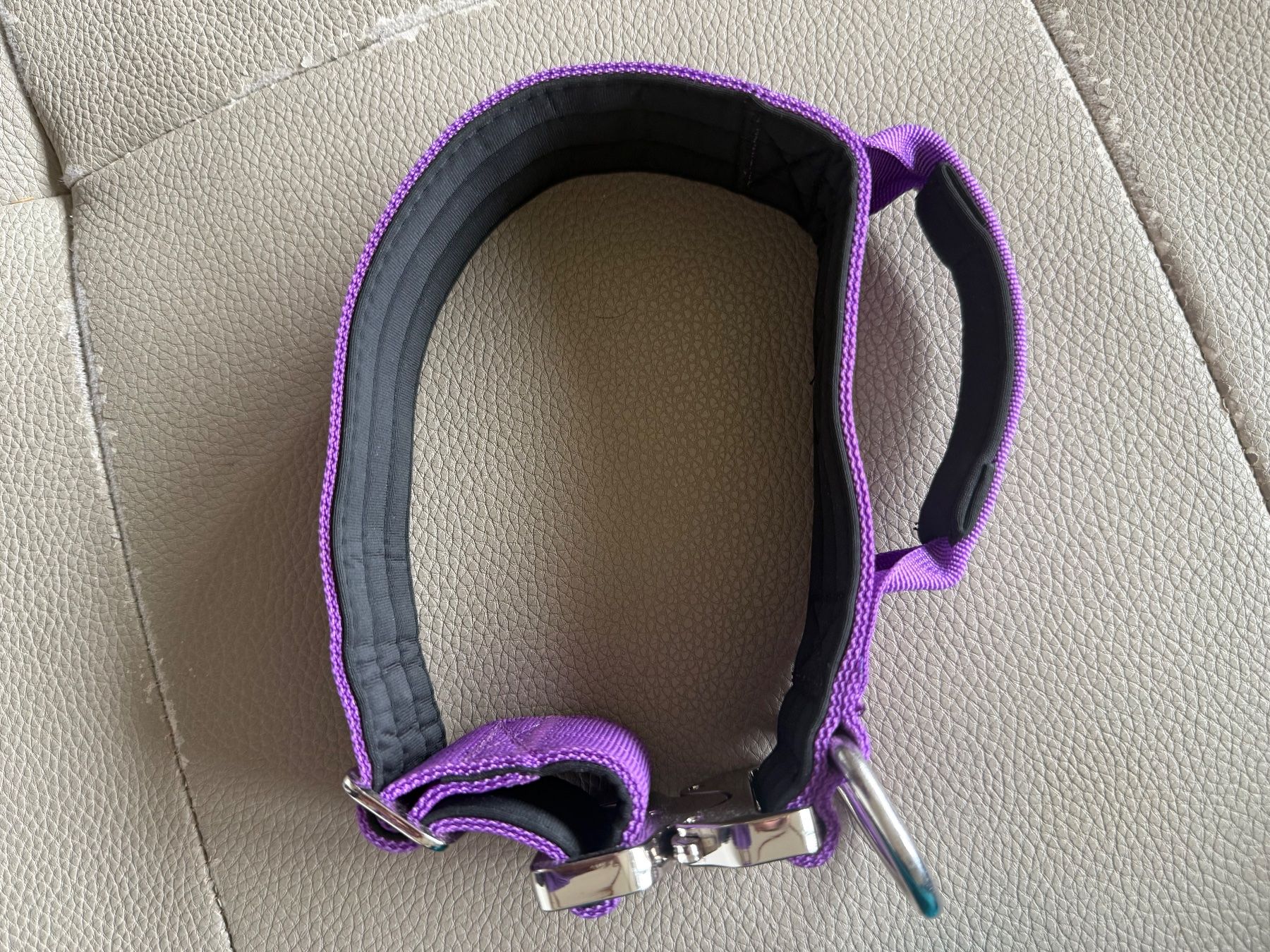 Neuwertiges BullyBillows Hunde Halsband in Lila (Neu (gemss Beschreibung))  in Affoltern am Albis fr CHF 10  mit Lieferung auf Ricardo kaufen