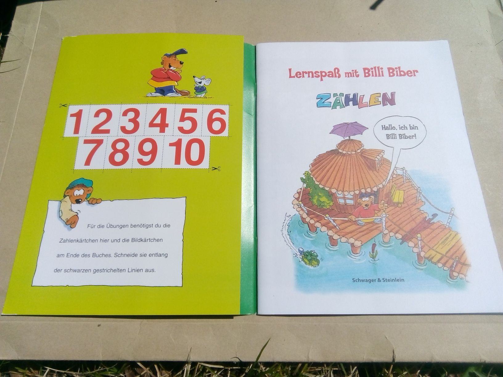 Libri: Lernspass mit Billi Biber Zählen  (mit extra Materialbogen) – Usato da St.Gallen venduto da elk2022 1