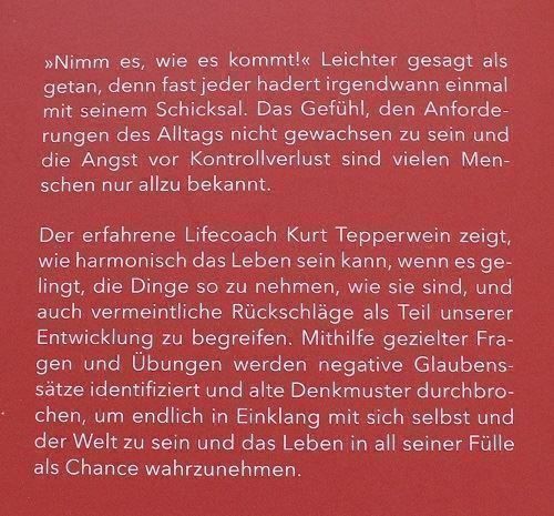 Libri: Die Kunst, das Leben anzunehmen - Kurt Tepperwein – Nuovo (secondo la descrizione) da Schlatt TG venduto da annesbuecher 1