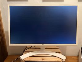 LG Monitor