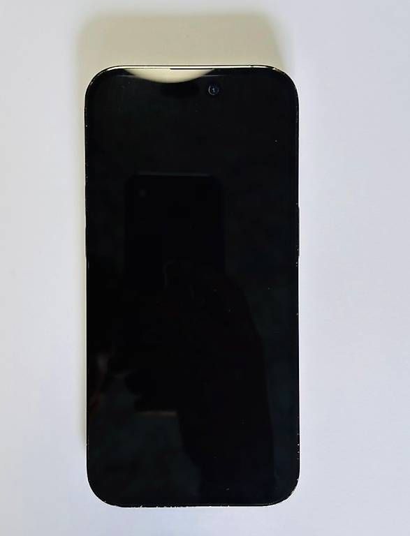 Apple Telefoni cellulari / Smartphones: iPhone 14 Pro Max (256gb) – Usato da Winterthur venduto da WertvollesAngebot 1