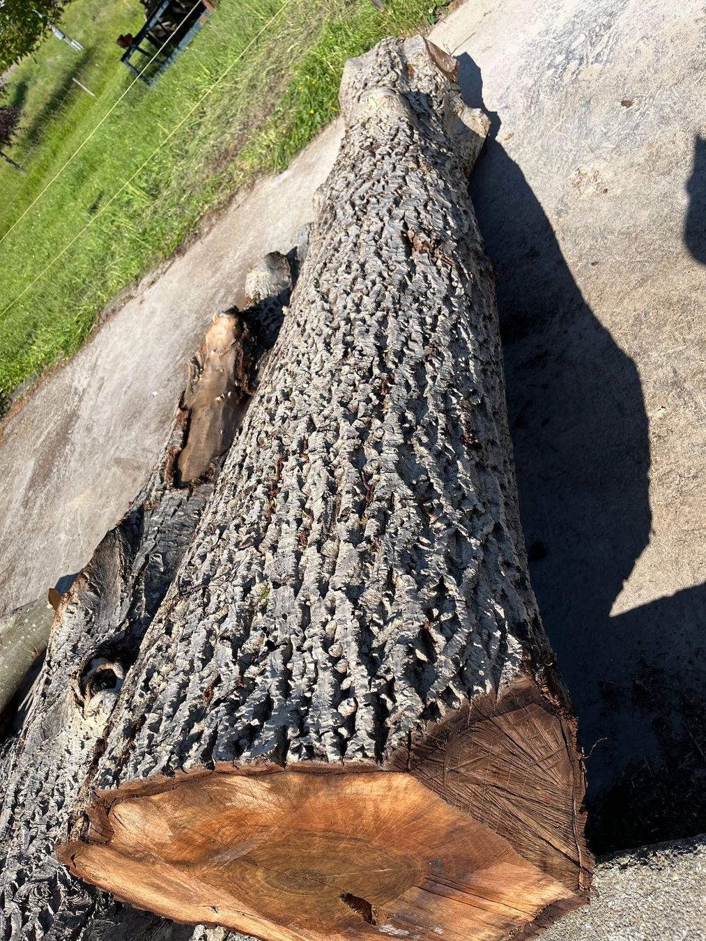 Articoli in legno: Nussbaumstamm, Bretter, Bohlen, Tisch – Nuovo (secondo la descrizione) da Nürensdorf venduto da Peterhakab 3
