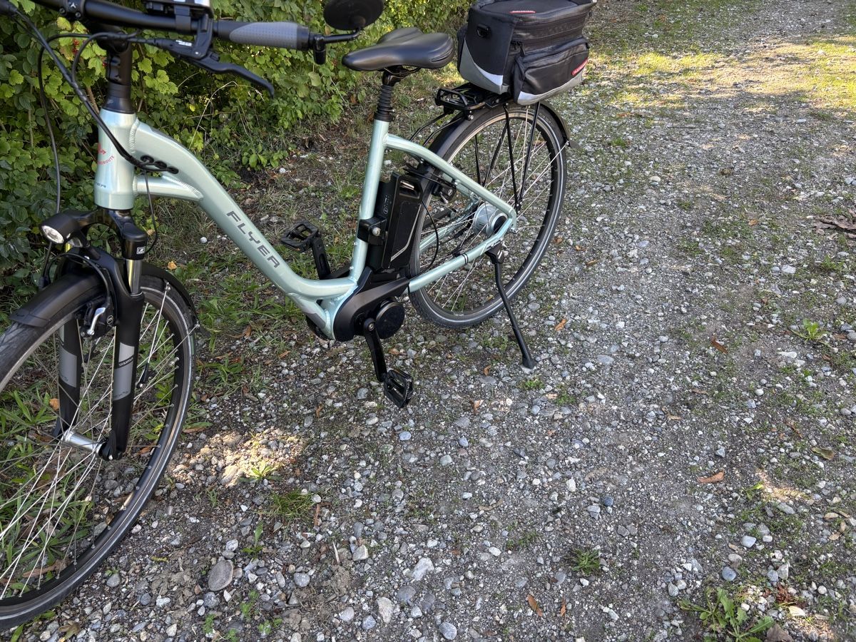 Flyer Biciclette: Flyer T Serie  – Usato da Kleindietwil venduto da her_d77z 5