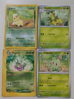 4er-Evolutions-Set rund um Endivie, Lorblatt und Meganie