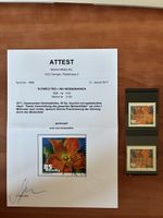 Abart Gemüseblüte 85rp. Starke Verschiebung des Markenbildes