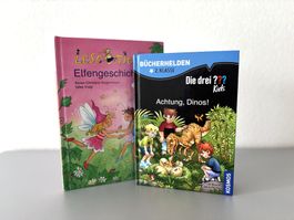 Buch Kinderbuch Lesetiger Leserabe Bücherhelden 2. Klasse