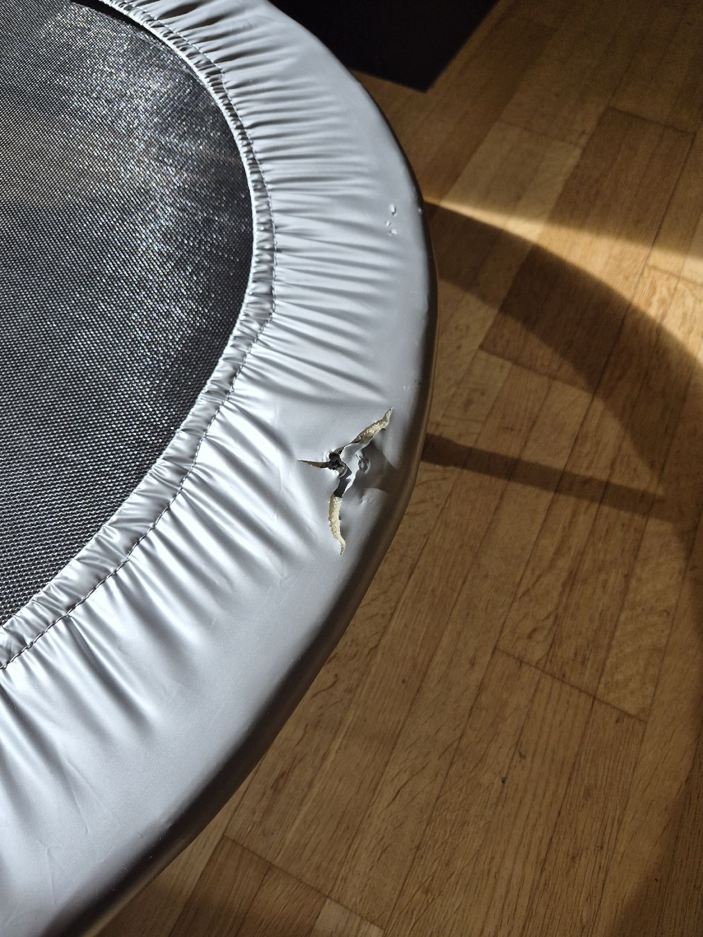 Bodyshape Trampolini: Body Shape Minitrampolin schwarz gebraucht – Usato da Winterthur venduto da RuMa79 2