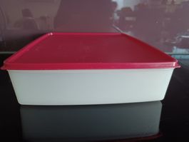 Tupperware Gefrierbehälter 27.5 x 23.0 x 6.5 cm mit Deckel
