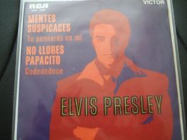 Elvis