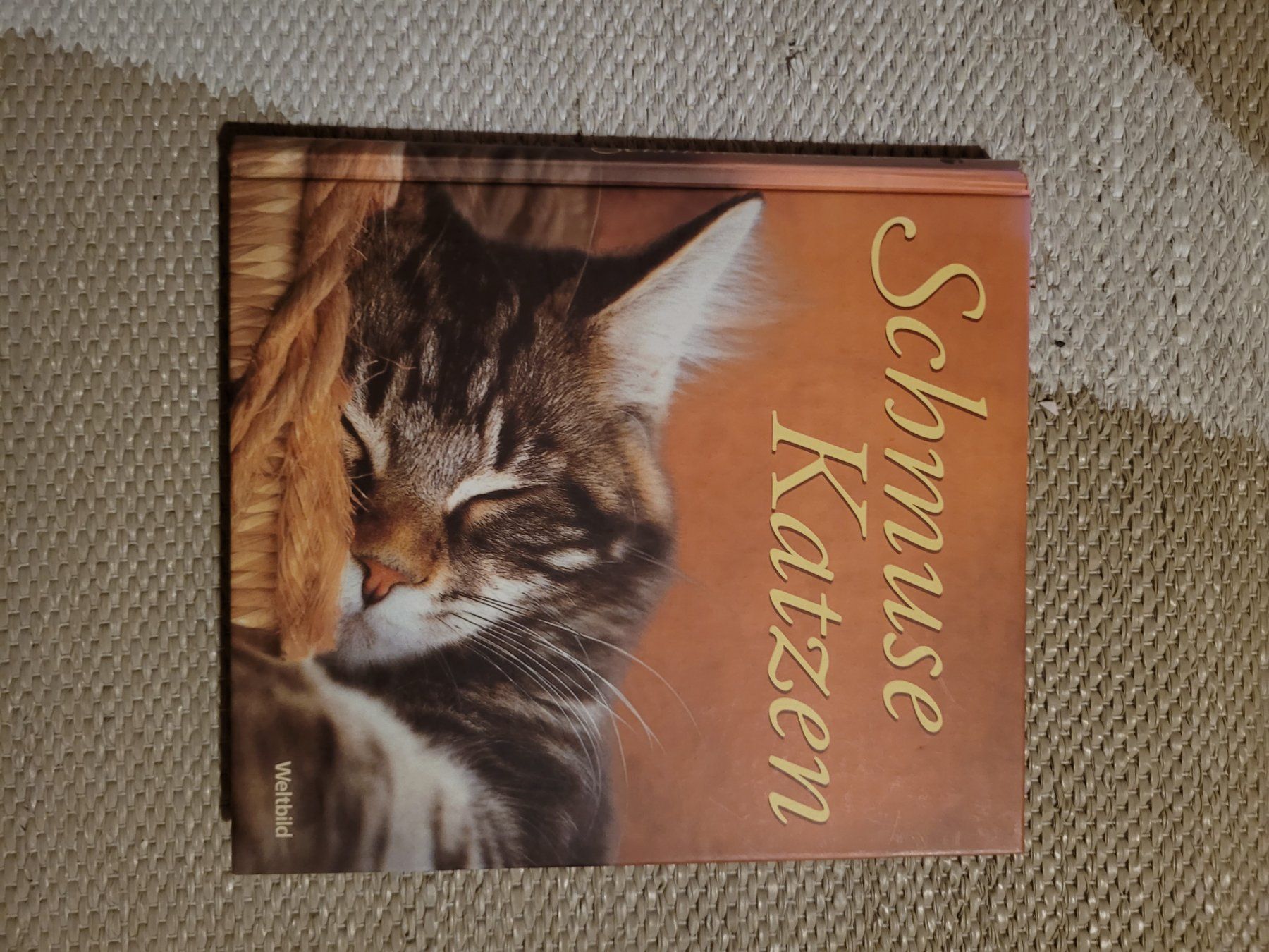 Libri: Schmusekatzen – Usato da Perlen venduto da Safari_23