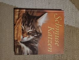 Schmusekatzen