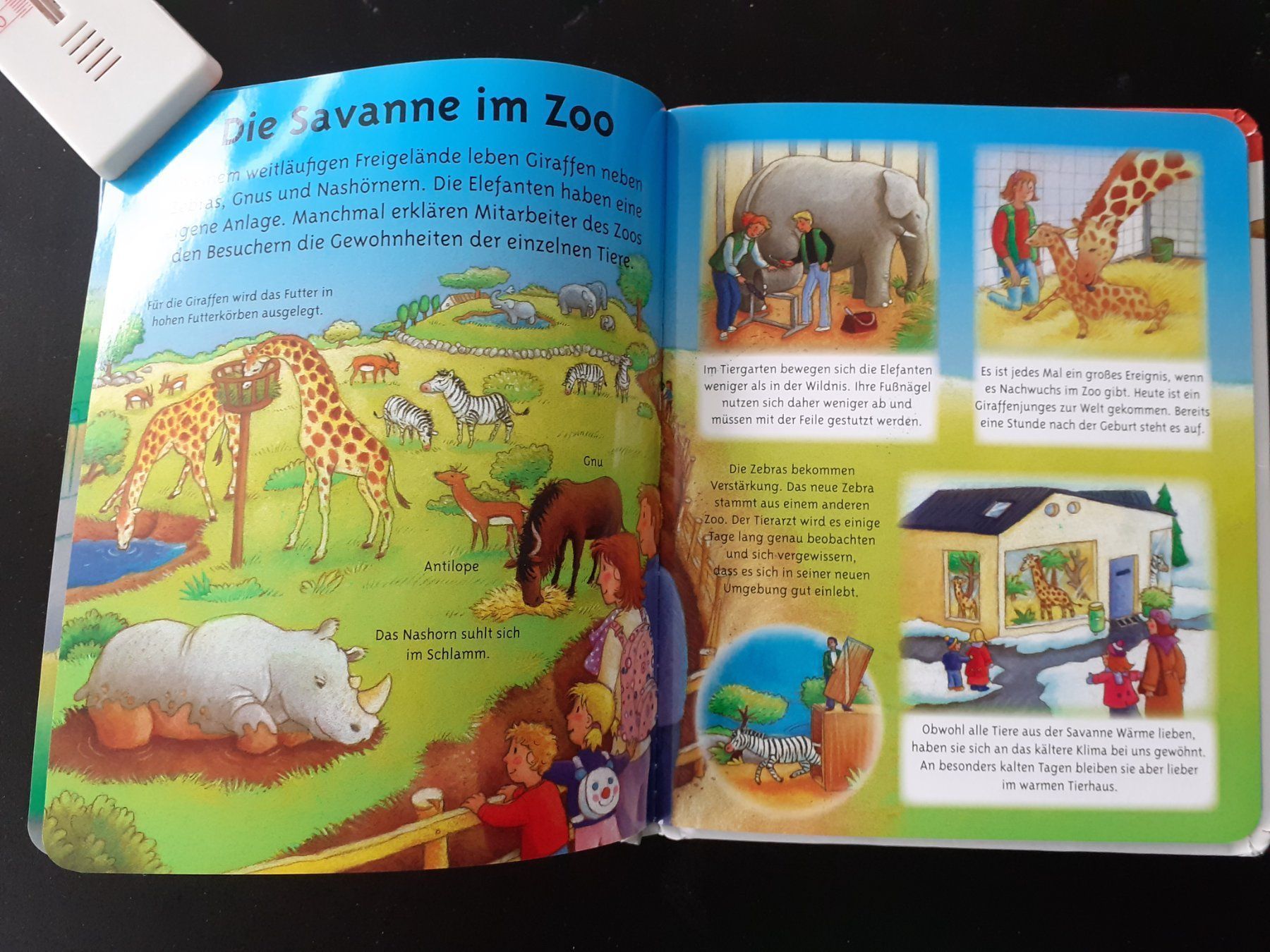 Libri: Kinderbuch Bilderbuch Im Zoo – Usato da Mörschwil venduto da lindaswunderkiste 6