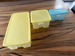 TUPPERWARE Kühlschrank gebraucht 