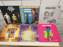 Diverse Schallplatten Sammlung, verschiedene Genres, 12 Stk