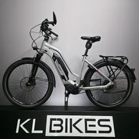 E-BIKE FLYER 45KM/ | SCHWEIZER VELO | AB SERVICE