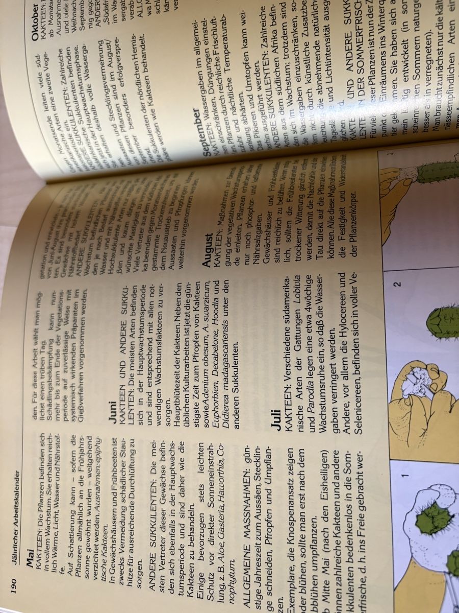 Bücher: Kaktusbuch – Gebraucht aus Aarburg von Nairun 1