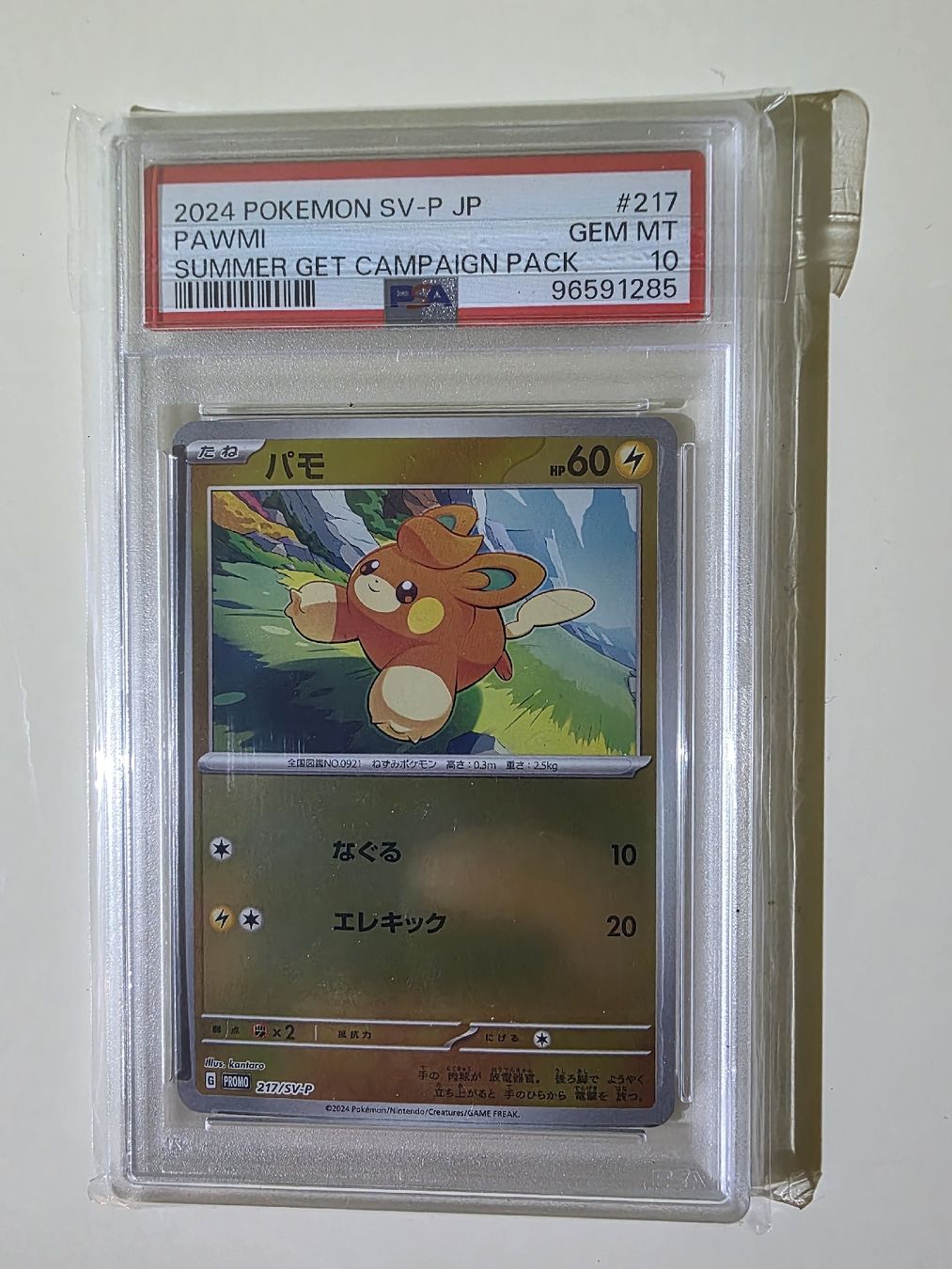 Pokémon Carte collezionabili: Pokemon PSA 10 Sequential Set 2024 Summer Get Campaign JP – Nuovo (secondo la descrizione) da Dintikon venduto da Takeit79 3