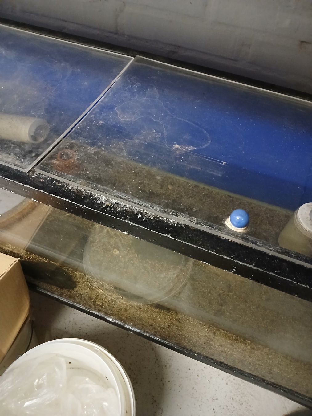 Acquari: 264L Stalramen Aquarien – Usato da Kappelen venduto da lue_nrl2 1