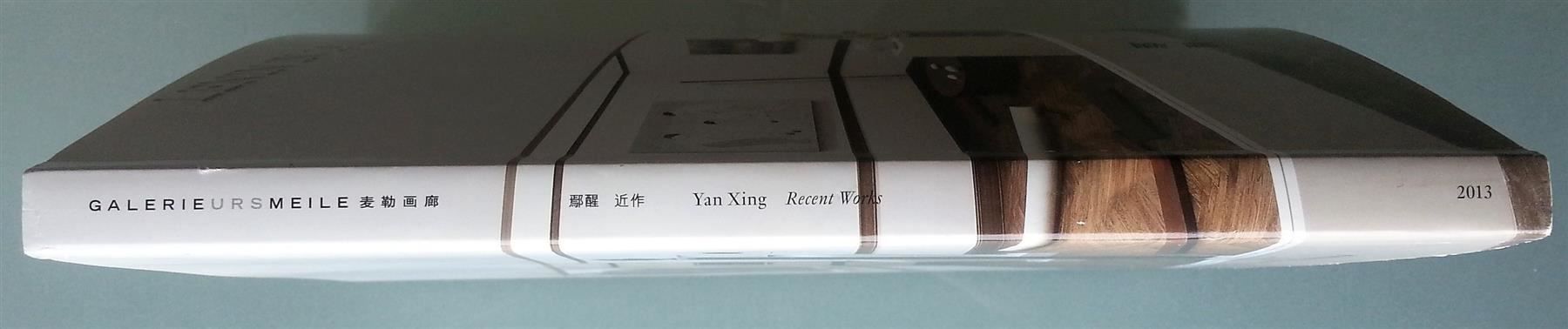 Libri: Yan Xing - Recent Works, signiert – Usato da Oberriet SG venduto da ganesh435 9