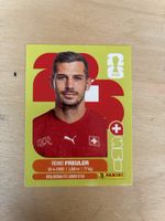 Panini SUI 11