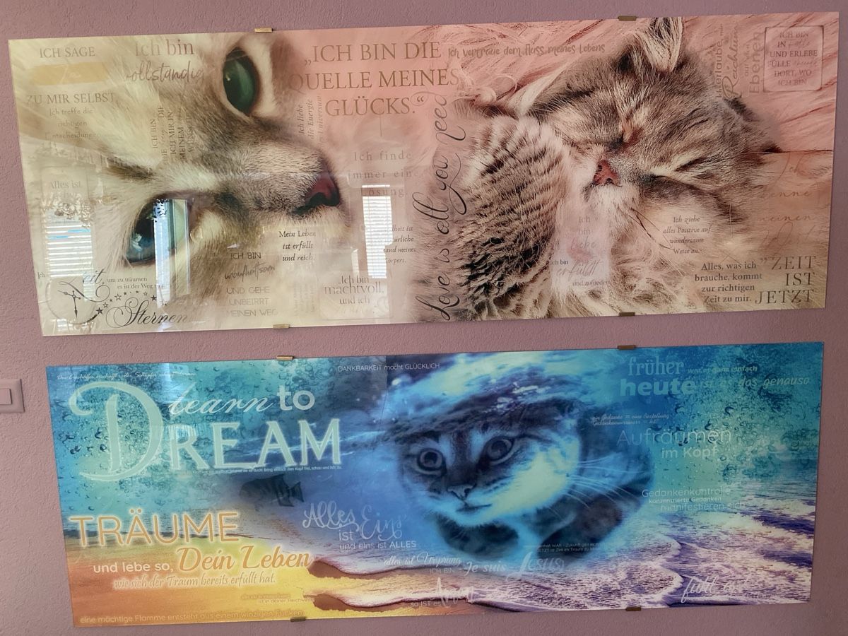 Foto & Immagini: Acrylglas Bilder – Usato da Wolfwil venduto da ISAsShop