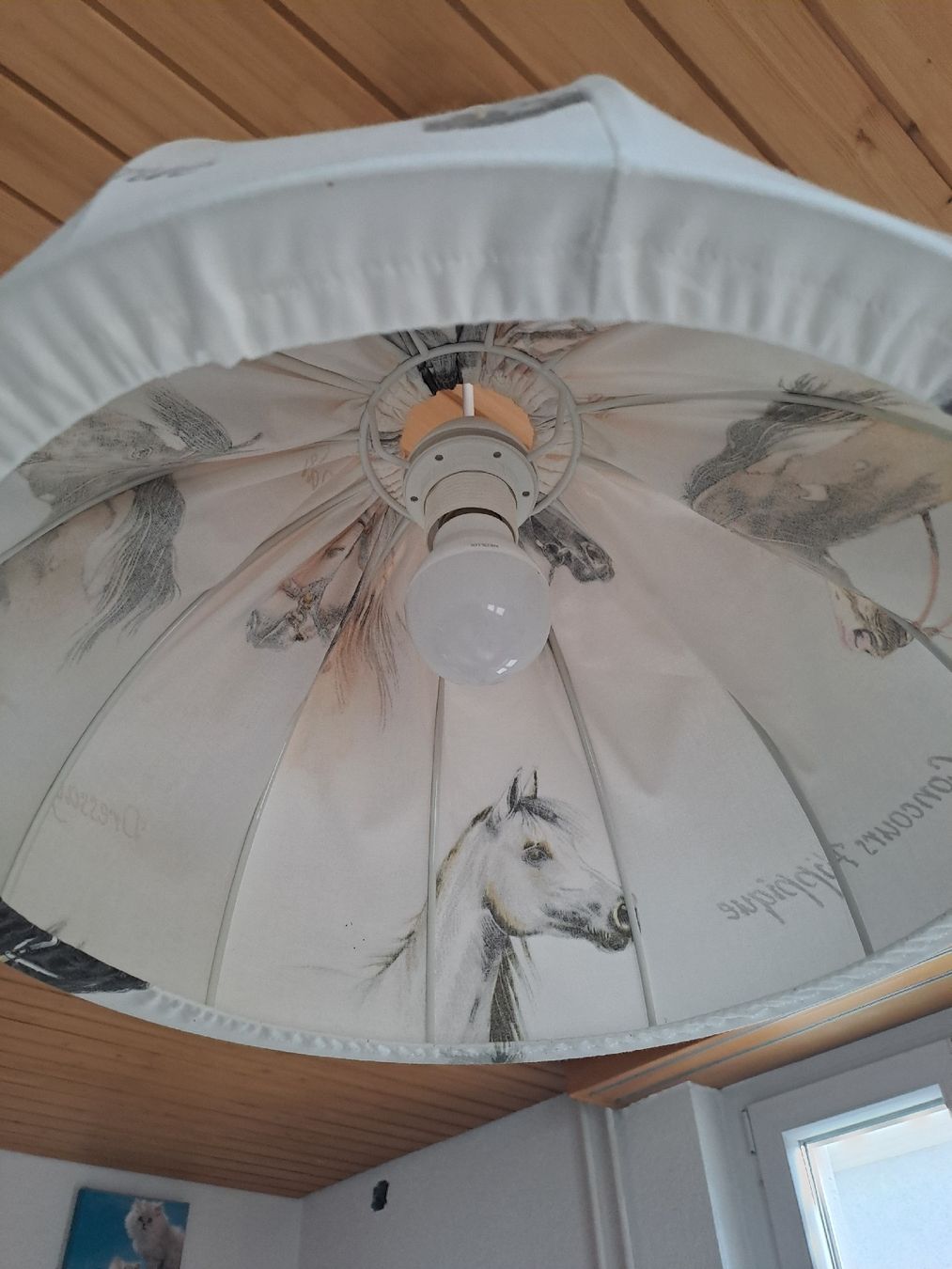 Lampade: Kinderhängelampe mit Pferdemotiv. – Usato da Kölliken venduto da Rwolfer 2