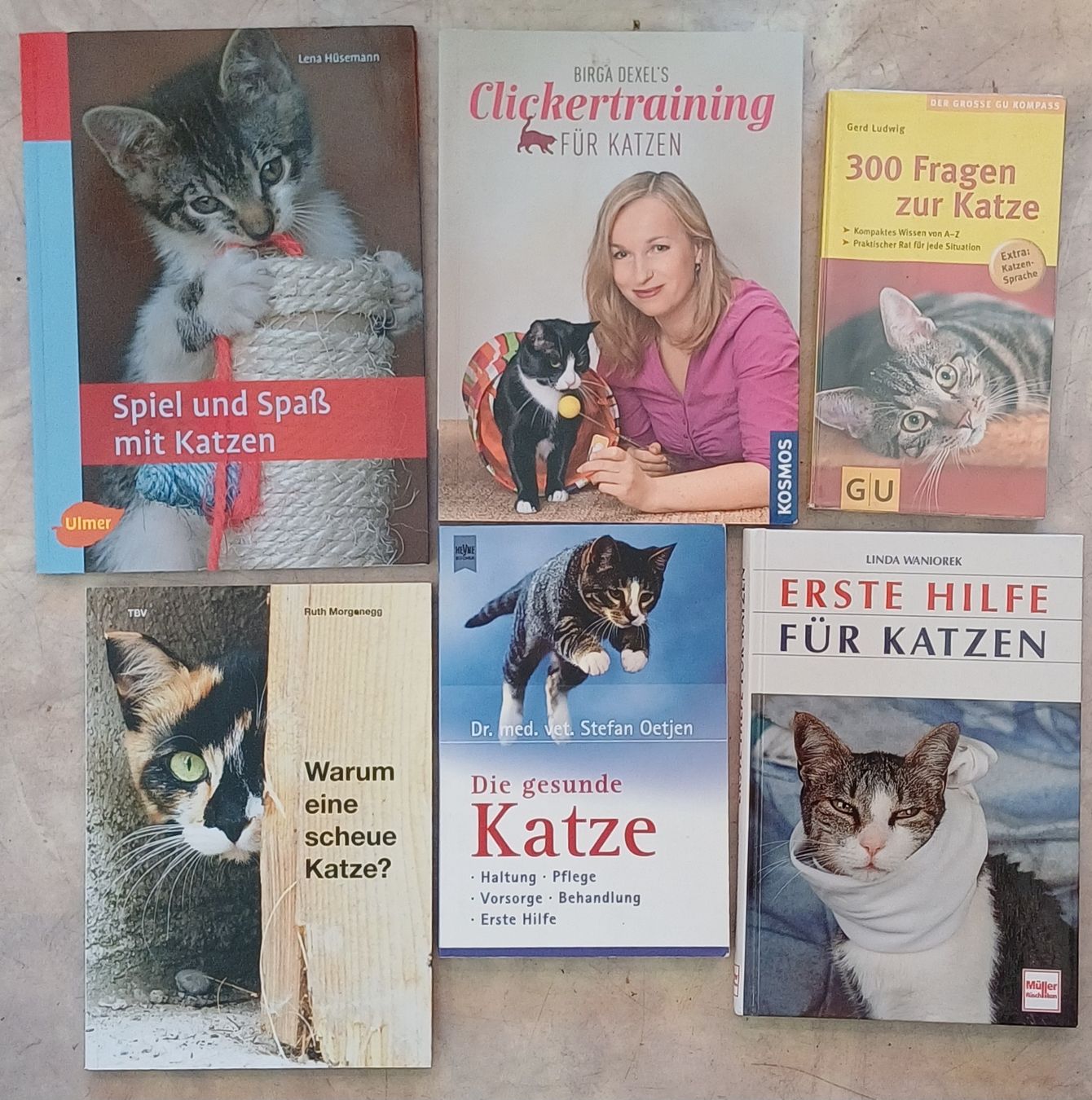 Bücher: 6 Bücher über Katzen – Gebraucht aus Merenschwand von Brockinell