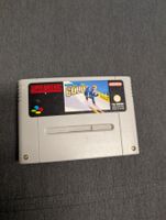 Winter gold super Nintendo