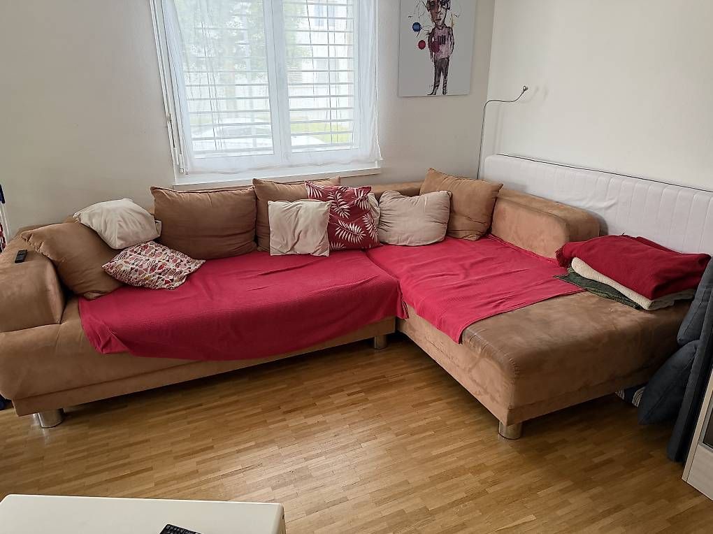 Divani: Sofa – Usato da Arbon venduto da dingo2015