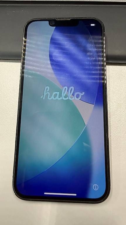 Telefoni cellulari / Smartphones: Phone 13 Pro mit Zubehör – Usato da Rorschach venduto da SidRot